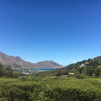 Suikerbossie Restaurant & Estate in Hout Bay.
