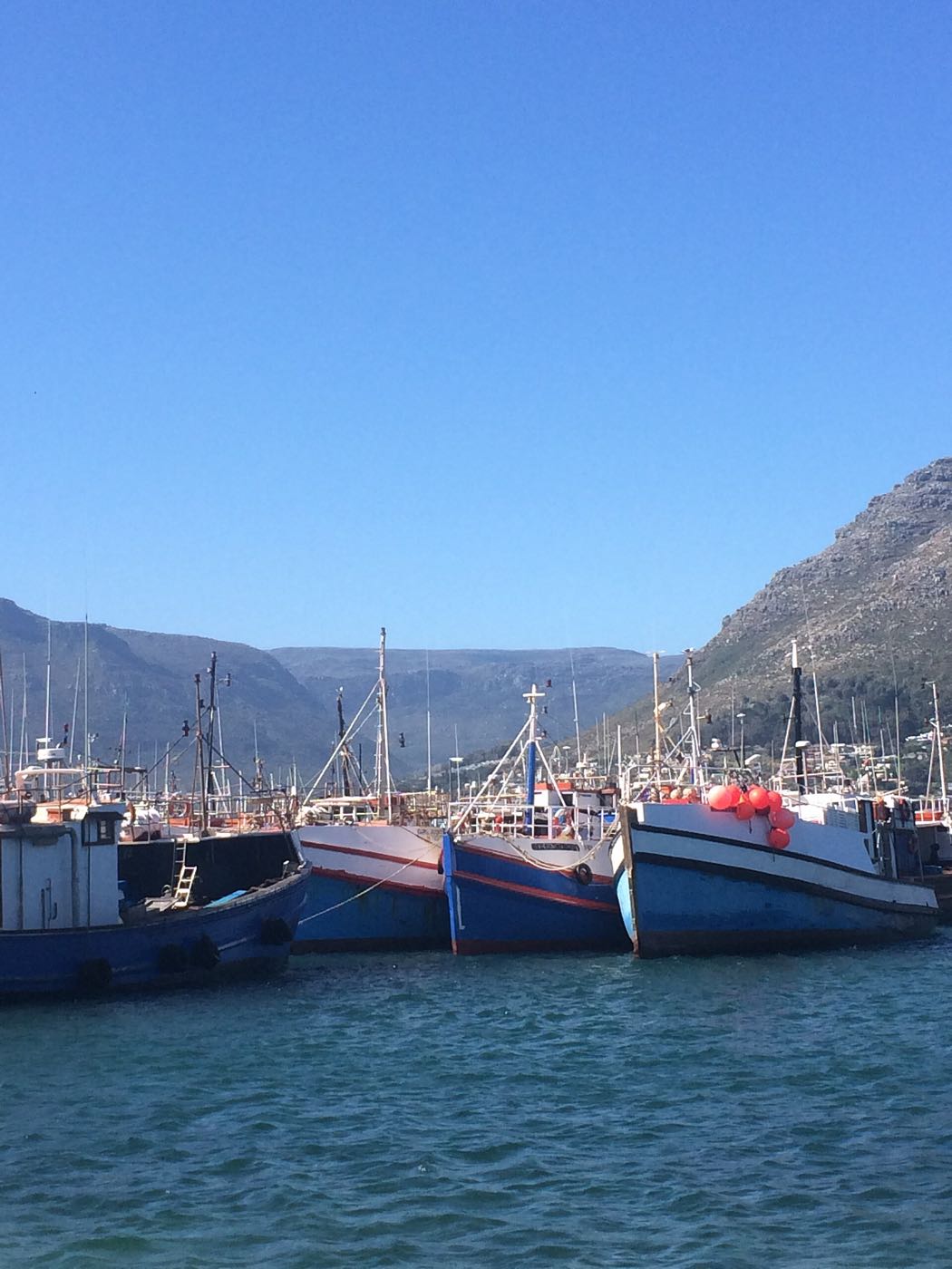 Fishing trawlers moored side by side in Hout Bay harbour under a clear sky.